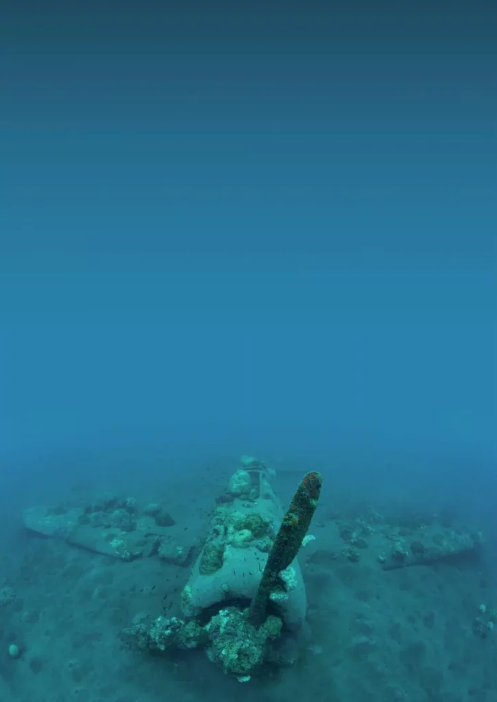 The wonders of Walindi: A Guide to Kimbe Bay, Papua New Guinea 7 A well-preserved WWII Japanese Zero fighter plane wreck sitting on the sandy ocean floor, encrusted with coral.