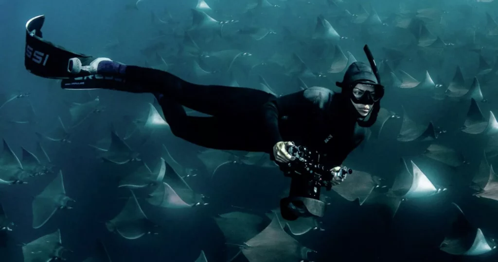 Wildlife presenter Lizzie Daly freediving surrounded by a massive shoal of rays 