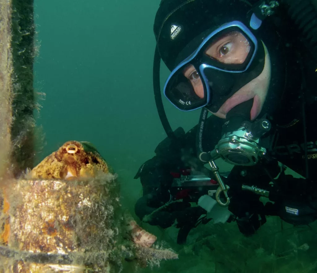 Diving with Natalie Anderson: Sixgill Shark Advocate & Her Journey Down Under 2 Natalie Anderson interacting with a pale octopus (Octopus pallidus) on the sandy seabed of the Mornington Peninsula, Australia.