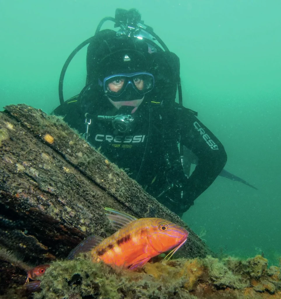 Diving with Natalie Anderson: Sixgill Shark Advocate & Her Journey Down Under 11 Scuba diver Natalie Anderson observing a goatfish searching for food in the sand beneath the pylons of Rye Pier, Victoria.
