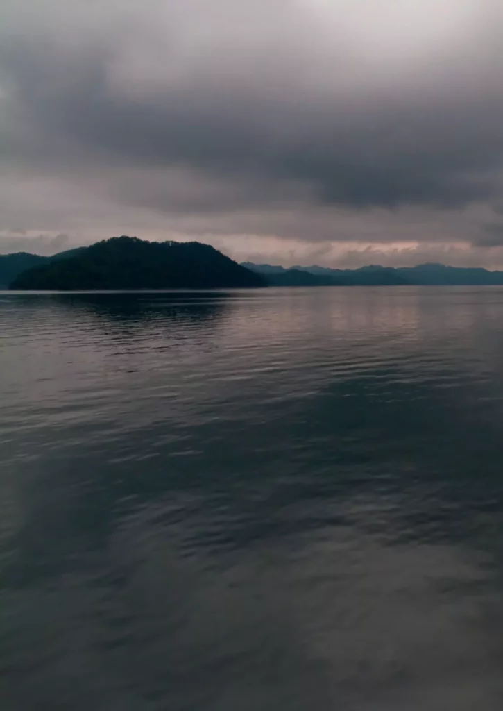 A scenic panoramic view of the lush, forested islands of Qian Dao Lake (Thousand Island Lake) in Zhejiang Province.