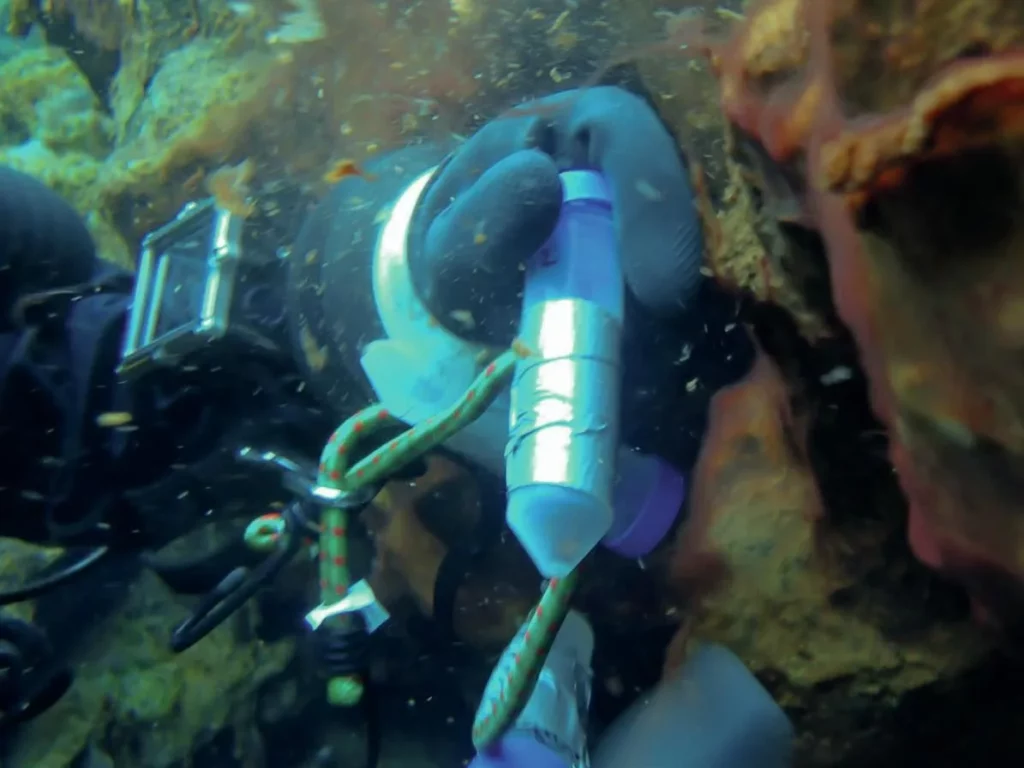Iceland’s Underwater Frontier: Science in Silfra 5 A technical diver holding a plastic lab sample tube containing microbial biofilm from an Icelandic fissure during a dive to the ultimate Iceland´s Underwater frontier.