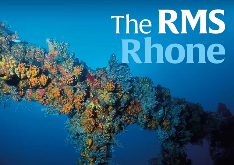 A panoramic underwater view of the RMS Rhone shipwreck resting on the seabed in the British Virgin Islands.