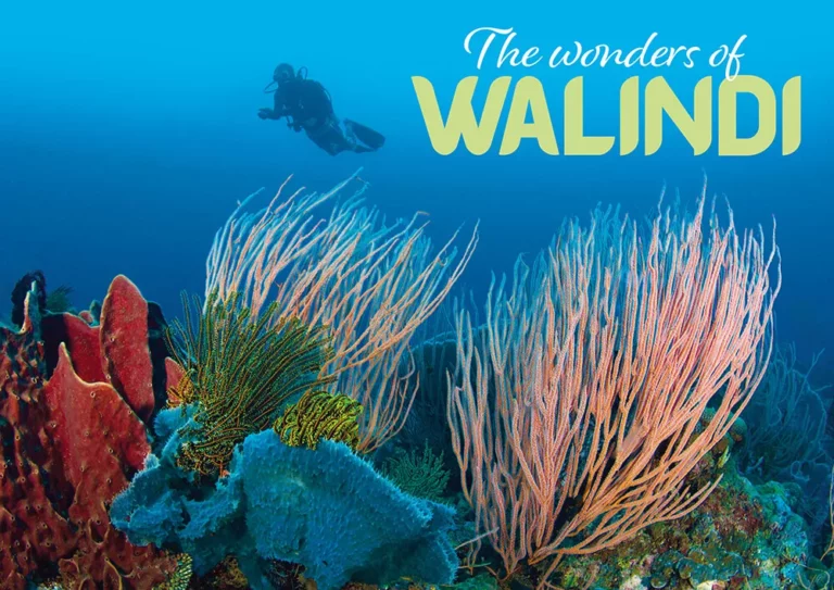 The Wonders of Walindi header