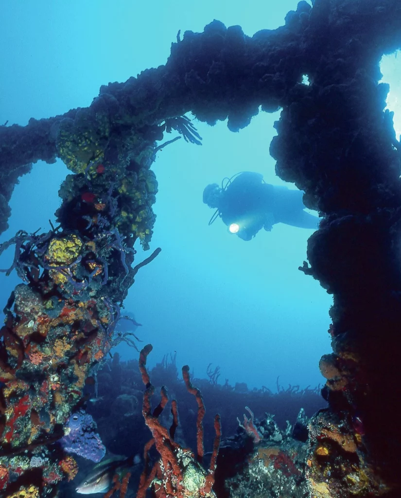 Vibrant orange cup corals and hydroids covering the hull of the RMS Rhone wreck.