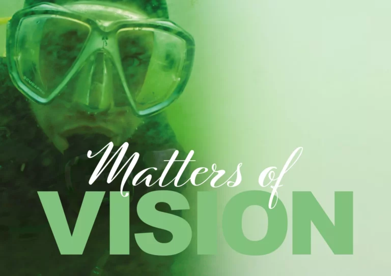 Matters of Vision