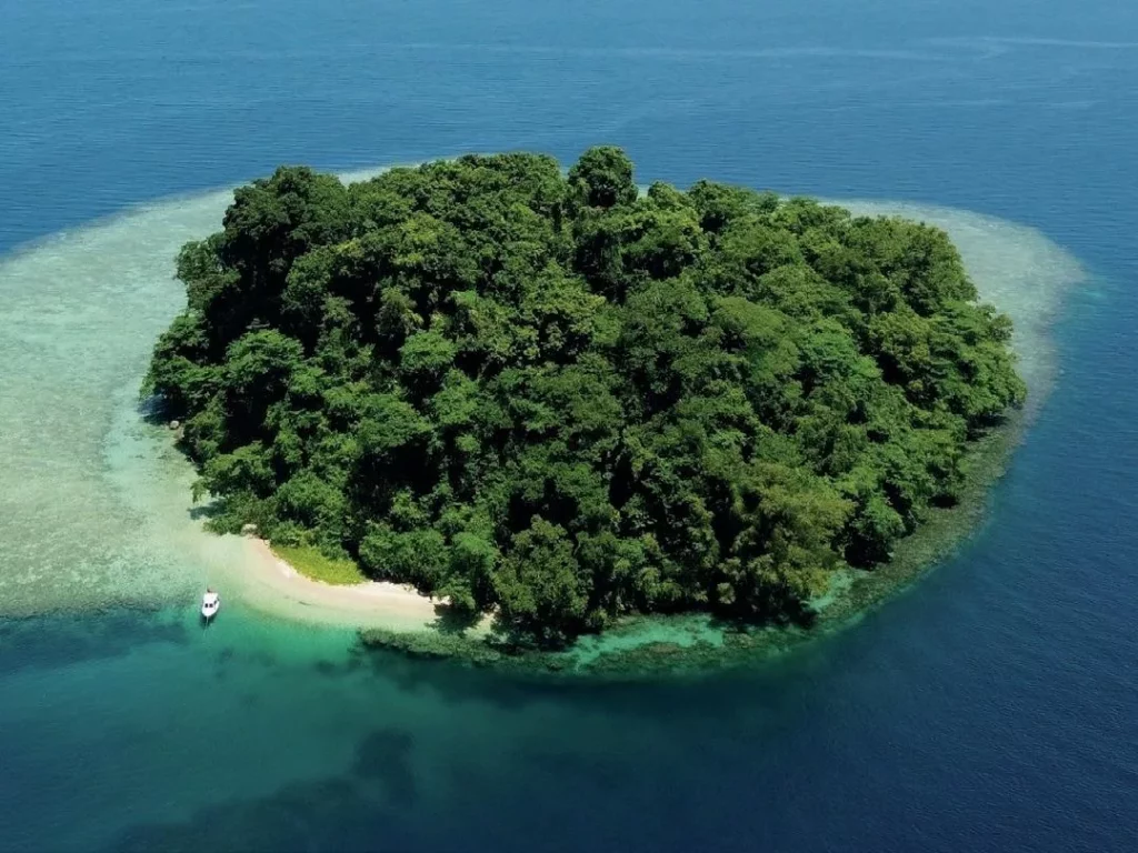 The wonders of Walindi: A Guide to Kimbe Bay, Papua New Guinea 4 Aerial view of a remote tropical island in Papua New Guinea surrounded by a shallow, turquoise fringing coral reef.