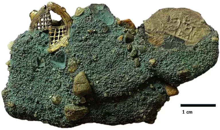 Whydah gold in concretion (Whydah Pirate Museum)