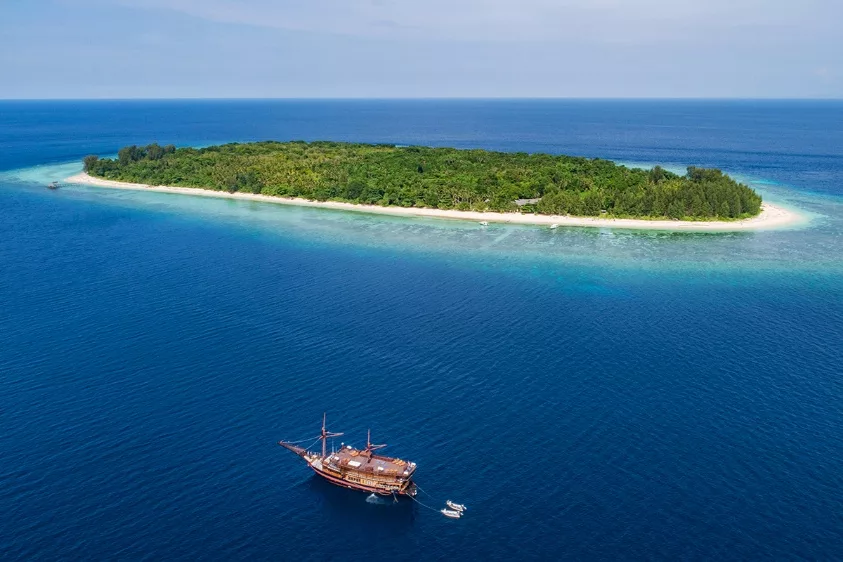 North Halmahera Has Got to Be Your Next Dive Destination 6 image 3