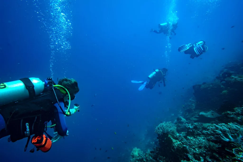 75% of scuba divers rate themselves 'above average' 6 Researcher following scuba divers to collect data on their behaviour (University of Sydney)