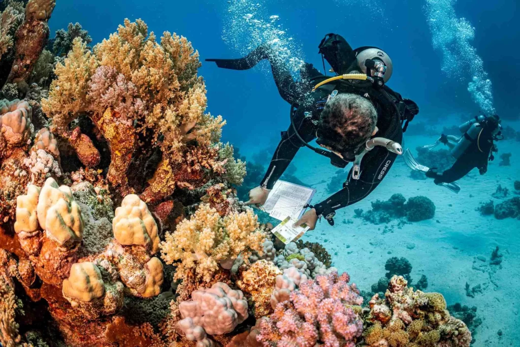 PADI rewards pros as it joins TIME shortlist 2 Working to safeguard reef systems