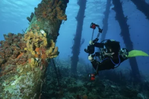 Divemaster