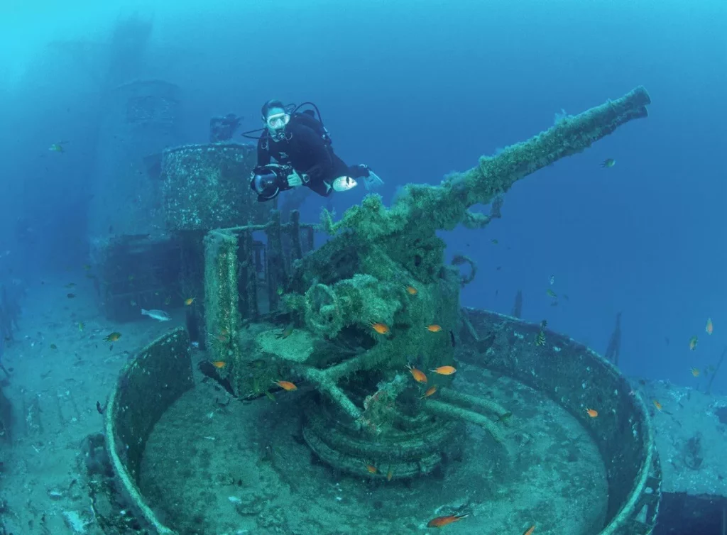 The intact foredeck gun of the Corveta Alfonso Cerqueira wreck, a highlight of scuba diving Madeira.