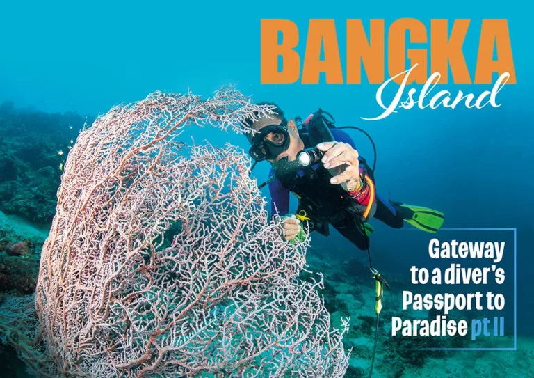 Header image for Gateway to a diver’s Passport to Paradise part two showcasing the tropical coastline of Bangka Island.