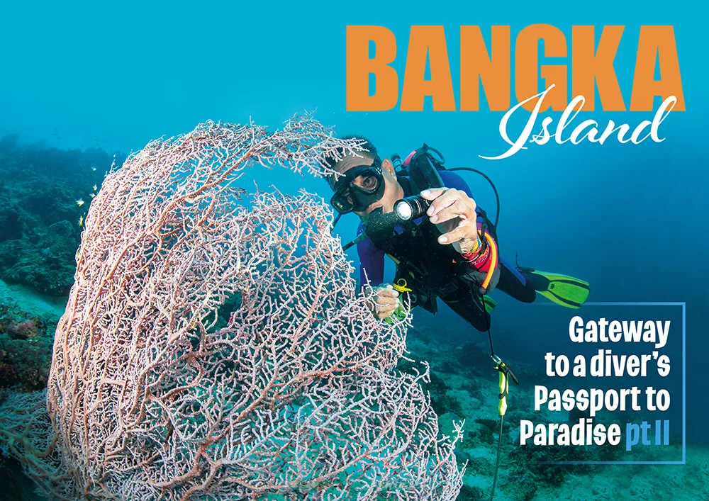 Header image for Gateway to a diver’s Passport to Paradise part two showcasing the tropical coastline of Bangka Island.