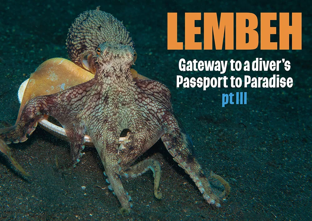 Header image for diving in Lembeh Strait titled Lembeh Gateway to a diver's Passport to Paradise pt III showing the transition to the muck diving capital.