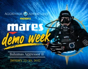 Aggressor Adventures