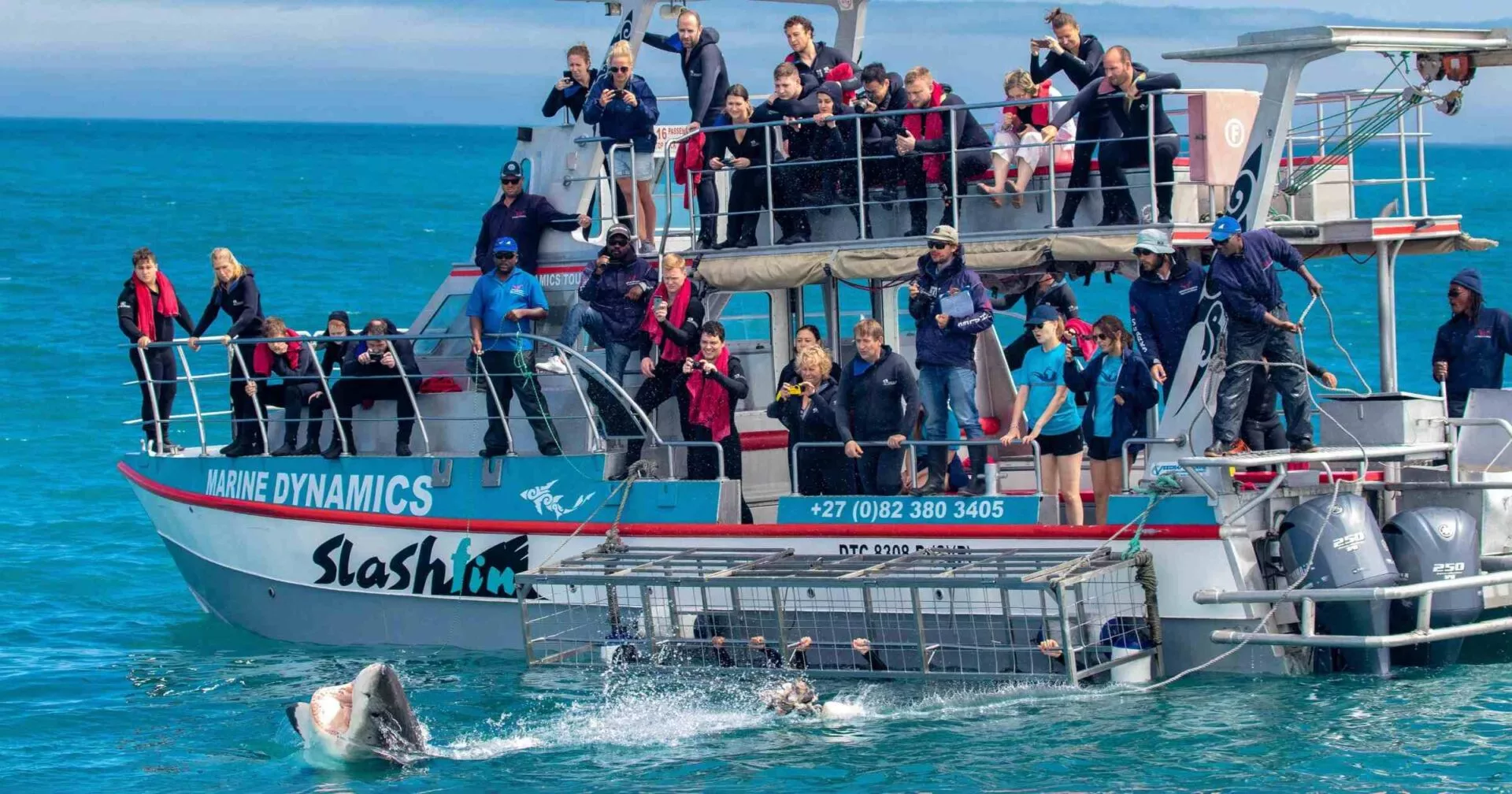 Shark Town to get UK premiere in Bristol