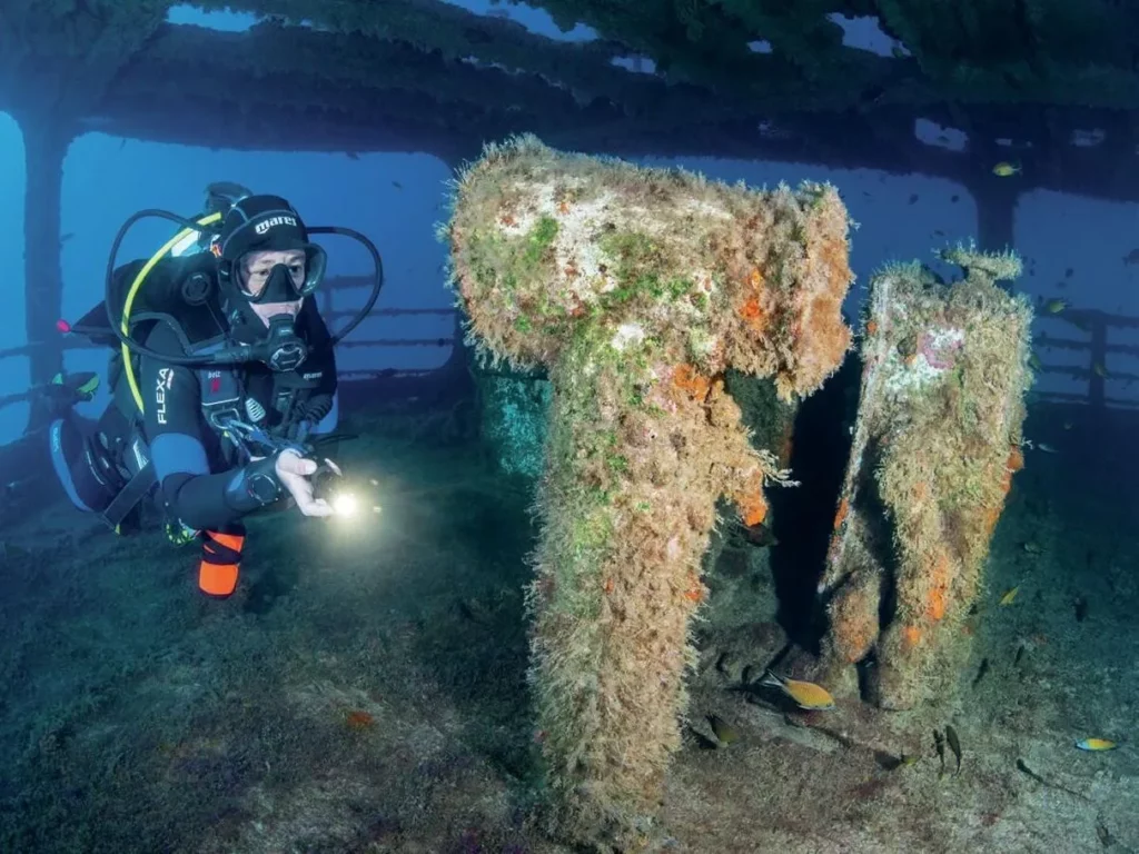 Sponges and corals encrusting the metal hull of a sunken corvette in Porto Santo.