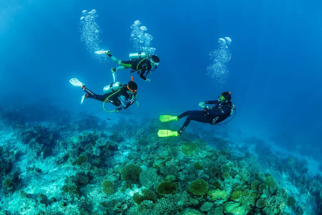 How scuba diving boosts young adults' mental health 1 Scuba diving: 'Joyful, relaxed and able to think clearly'