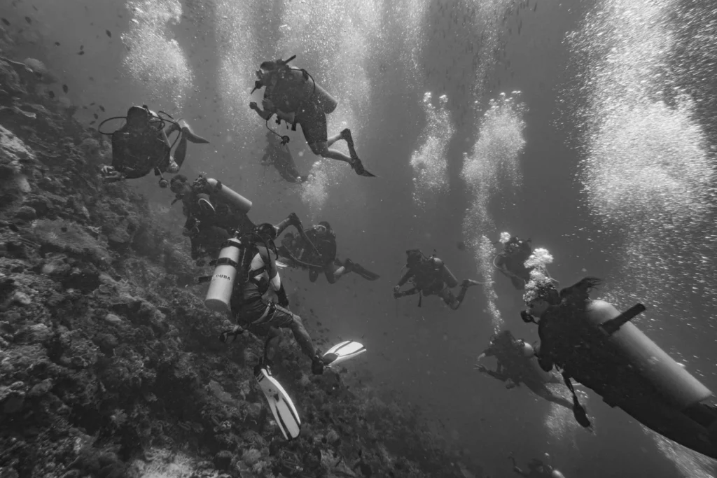 75% of scuba divers rate themselves 'above average' 4 Scuba divers concentrated at a dive-site in Leyte, Philippines