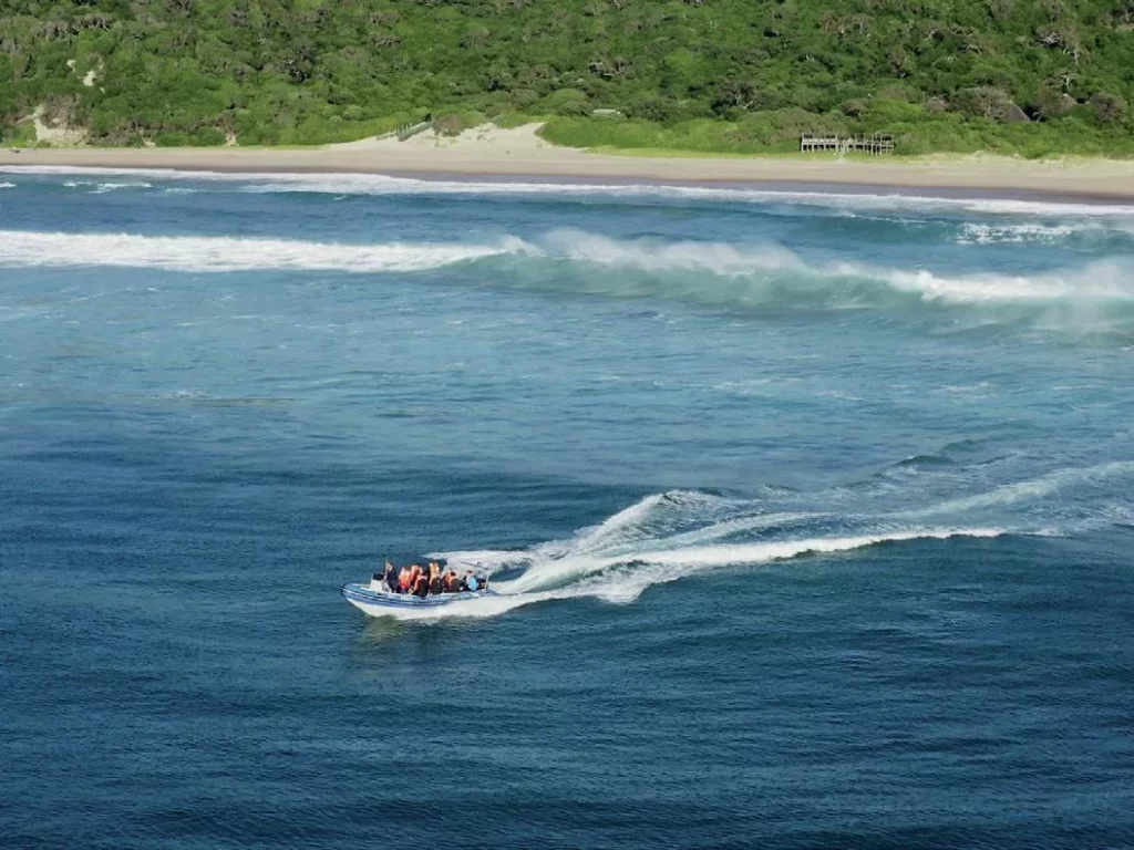Discovering Sodwana Bay 1 An exciting RIB surf launch, illustrating the unique entry method for Diving Sodwana Bay in South Africa.
