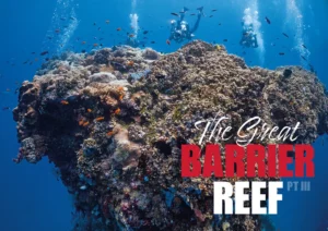 Wide-angle view of vibrant coral gardens and turquoise water on the Great Barrier Reef.