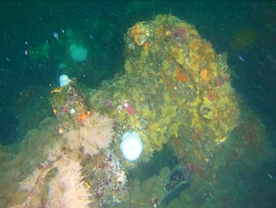 WW2 shipwrecks from USA's only invaded territory revealed 9 Winch from Dellwood's mast-bed with significant calcareous concretion