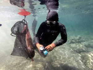 Malta Skin Divers Club was founded in 1970 (MSDC)