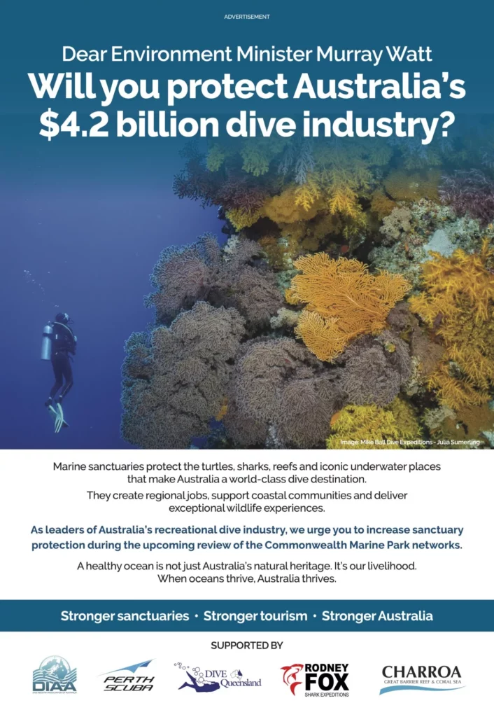 Dive ad media 260602