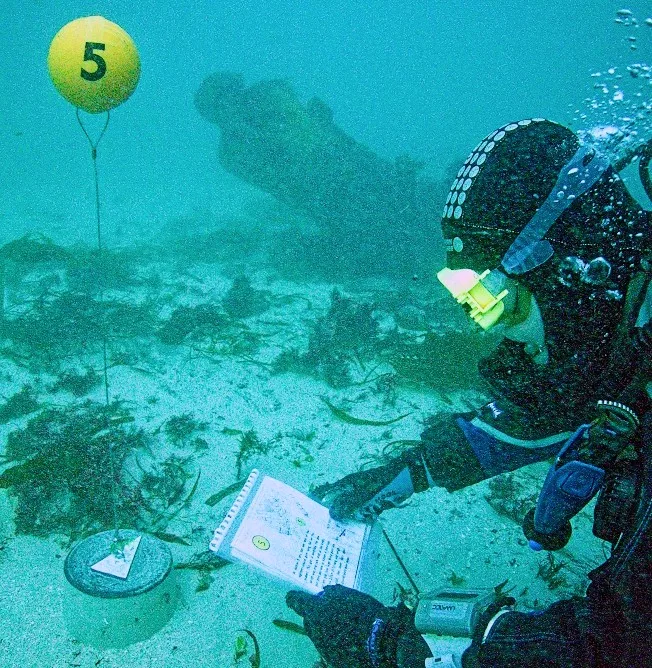 Diver examining a site-plan (CISMAS)
