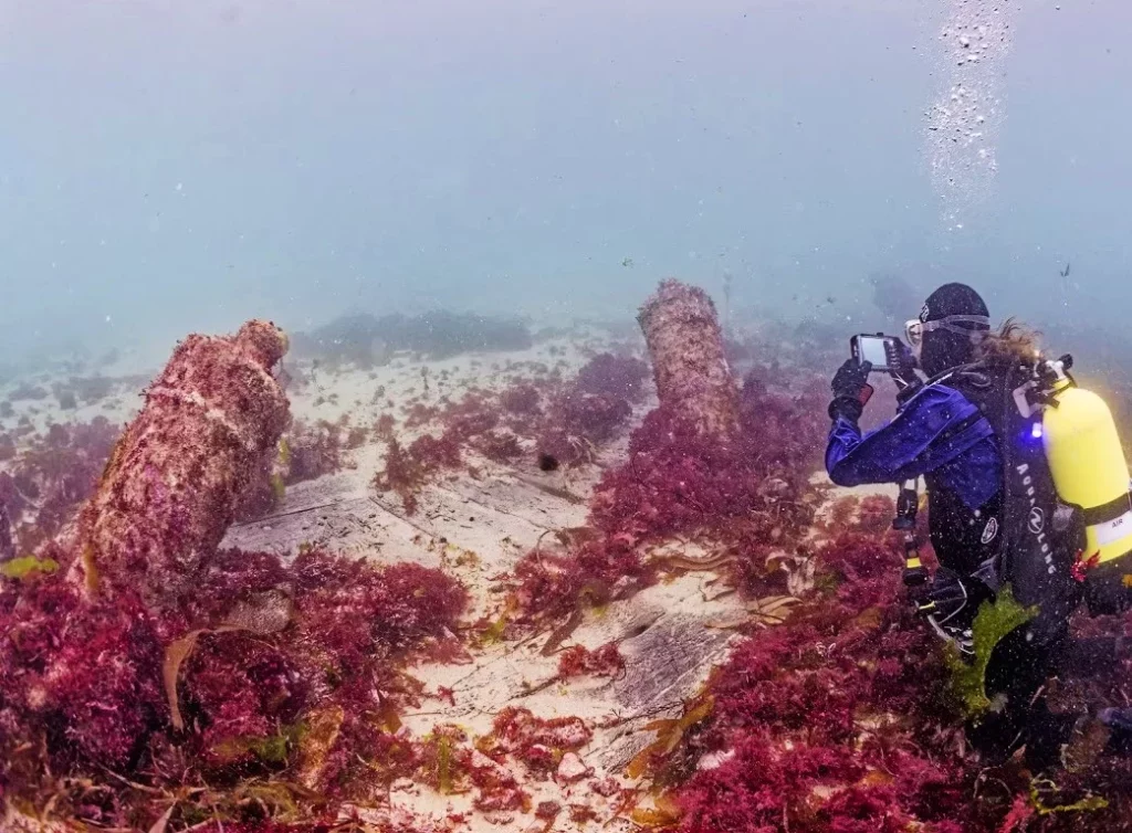 Diver photographing cannon and the wooden ship structure (CISMAS)