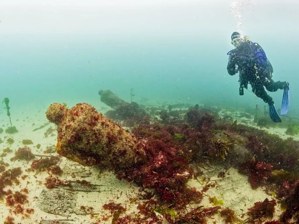 Diver swimming over cannon and the wooden ship structure (CISMAS)