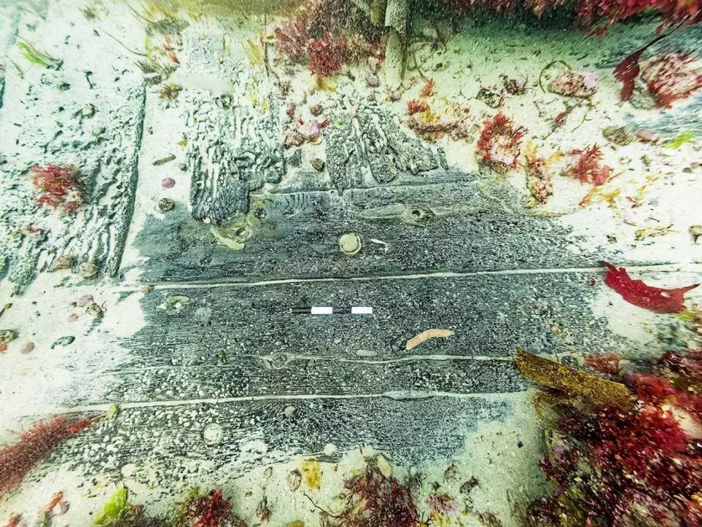 Exposed wooden ship structure 3 (CISMAS)