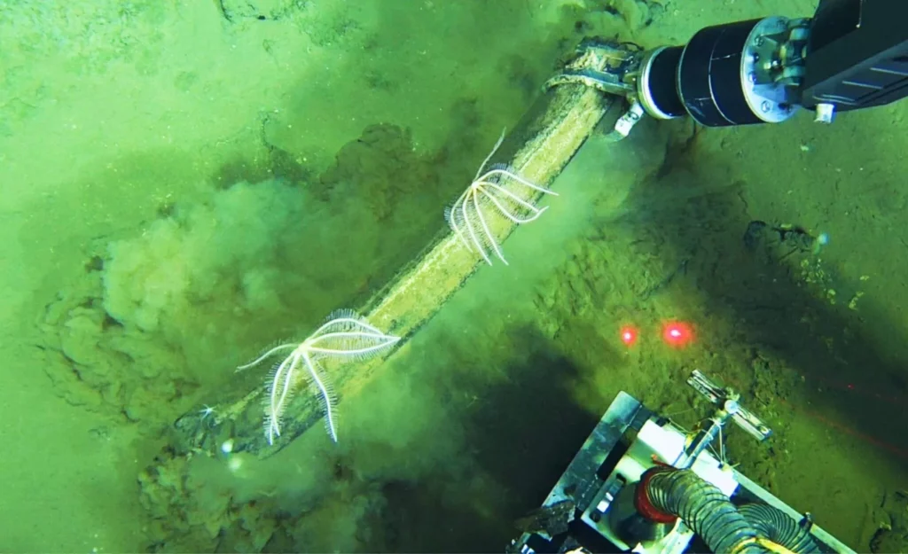 Recovery of fossil whale bones using the mechanical arm of the submersible Fendouzhe (Global TREnD, IDSSE)