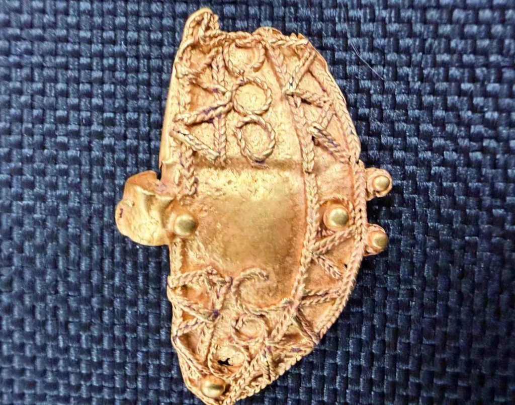Diver hands shipwreck treasures to Scilly museum 3 Gold brooch (Isles of Scilly Museum)