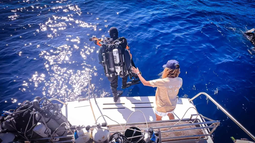 Ghost-divers capture first Med u/w white shark footage 1 Diver entry (Isadora Abuter / Healthy Seas)