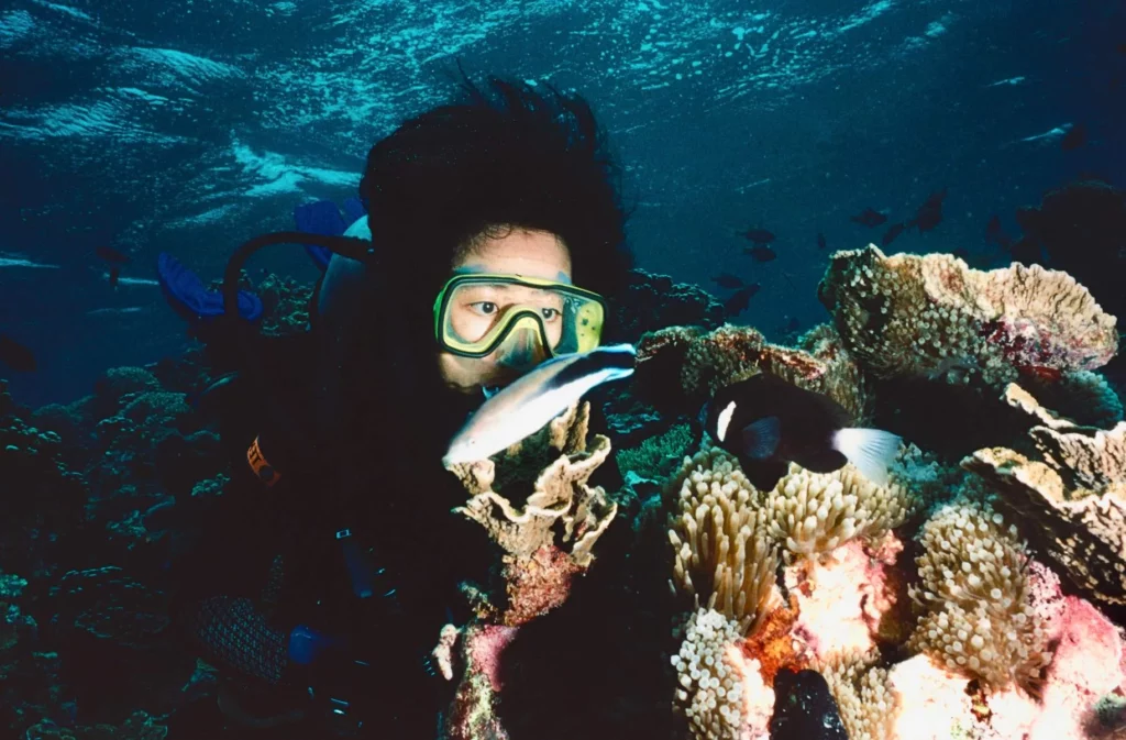 Cleaner wrasse at Comet’s Hole