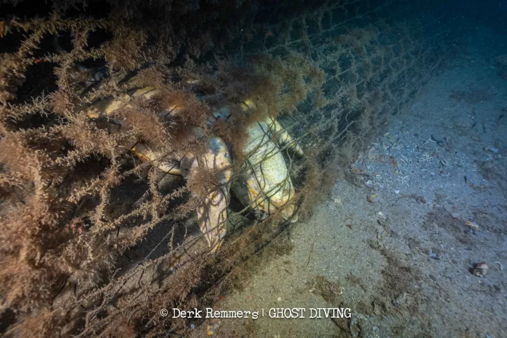 Ghost-divers capture first Med u/w white shark footage 5 A turtle victim of ghost-fishing