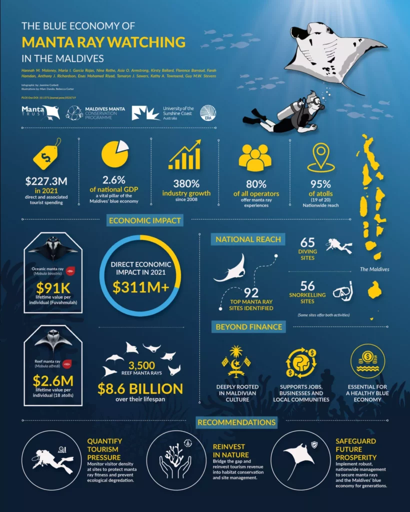 Manta economics in the Maldives (Manta Trust)