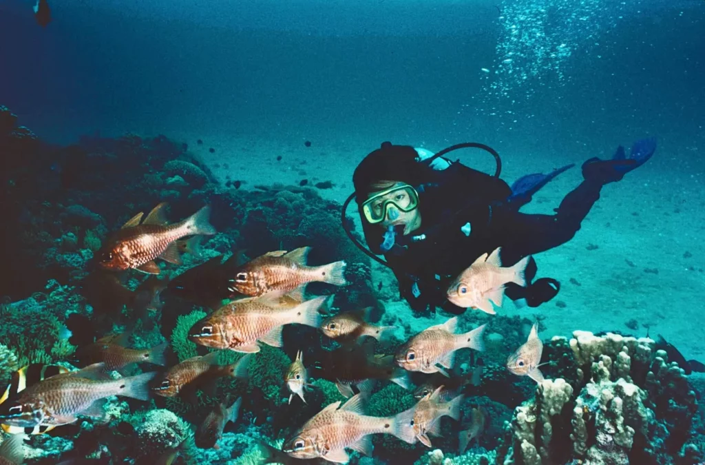 Norfolk cardinalfish at Comet’s Hole