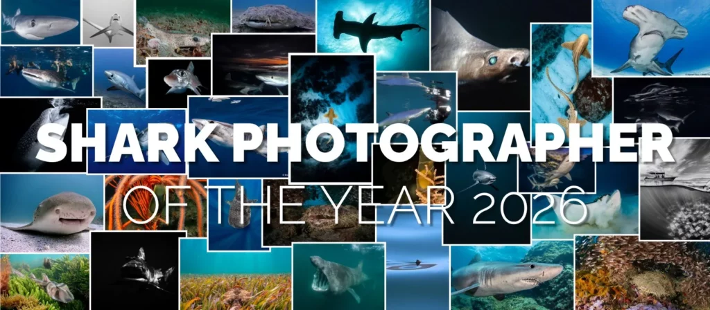 Photo contest