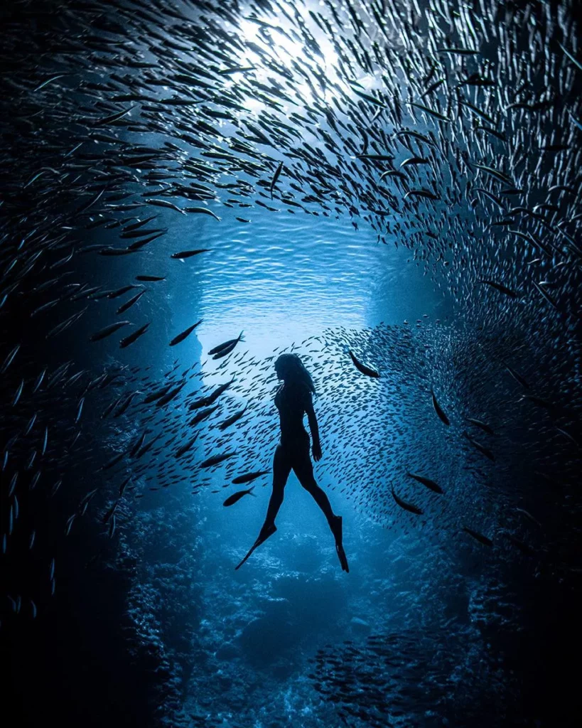 (James Ferrara, www.unworldoceansday.org)