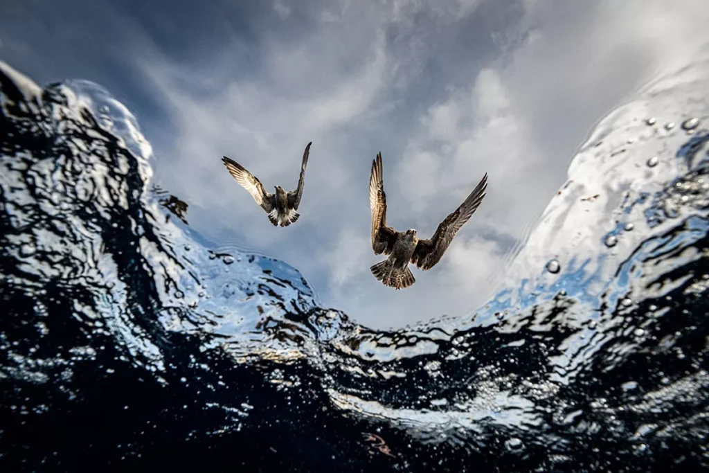 (Eduardo Carrasco, www.unworldoceansday.org)