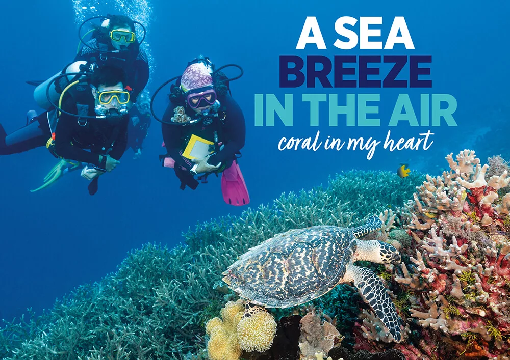 Decorative article header graphic reading a sea breeze in the air, coral in my heart over a tropical ocean background.