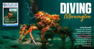Scuba Diver ANZ Issue 95 Out Now