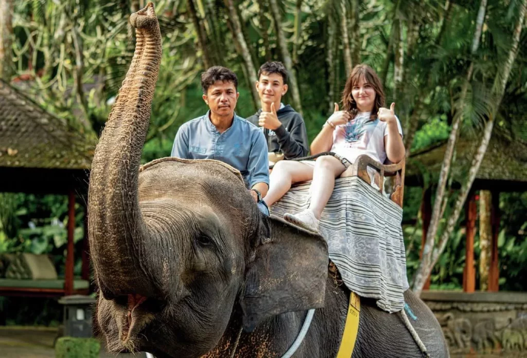An elephant ride got the thumbs up approval