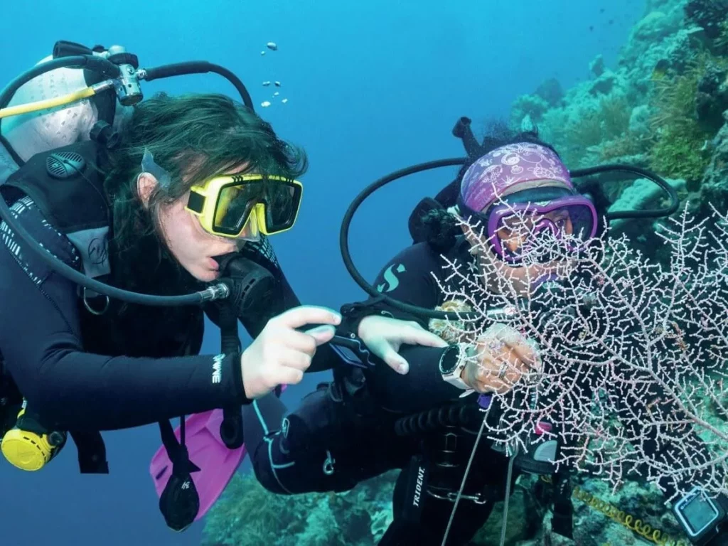 Private dive guide Eby pointing out a rare marine species on a coral wall to a scuba diver.
