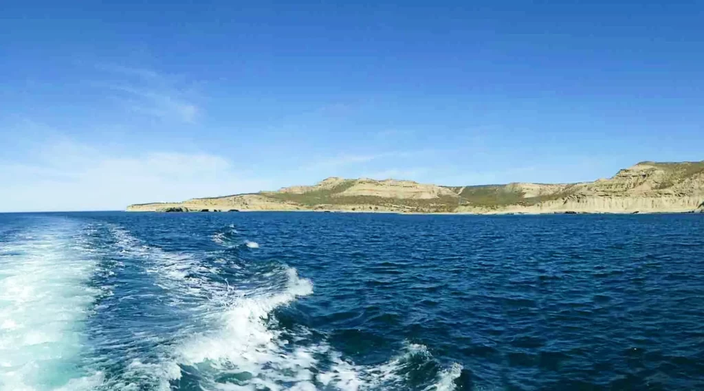 Manslaughter investigation: Chubut province, Golfo Nuevo (Linda De Volder)