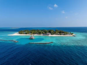 The Graduate's Guide to the Maldives